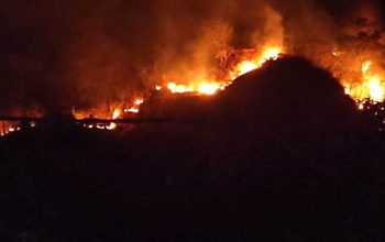 Kebakaran-Gunung-Jayanti-Sukabumi-Membara