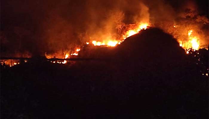 Kebakaran-Gunung-Jayanti-Sukabumi-Membara