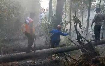 Kebakaran Gunung walat Sukabumi