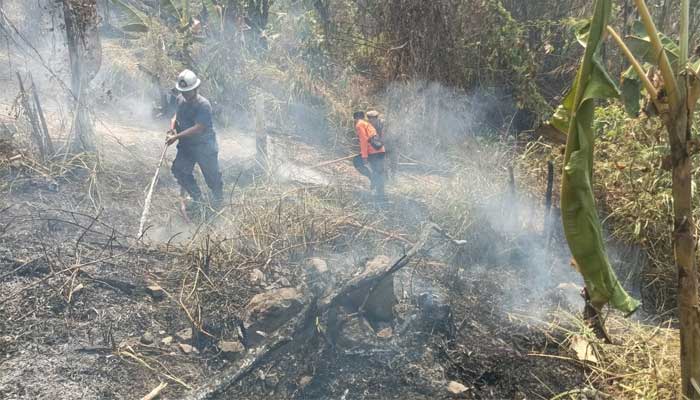 Kebakaran Lahan Kebun Bambu Sukabumi