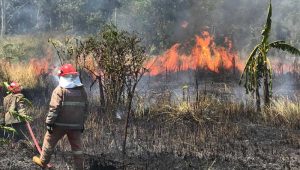 Kebakaran Lahan Kota Sukabumi