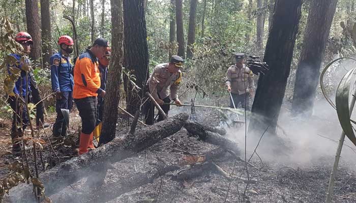 Kebakaran Lahan Sukabumi