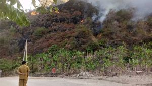 Kebakaran Lahan di Puncak Habibi Sukabumi, Belasan Hektar Hangus