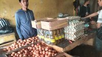 Pedagang Telor Ayam Sukabumi