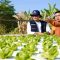 Petani Milenial Pasuruan