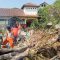 Pohon Tumbang Dayeuhluhur Sukabumi