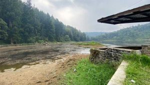Kondisi  Situ Gunung Sukabumi Menghawatirkan