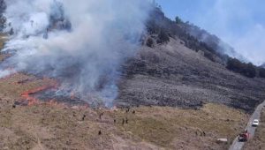 Wisata Gunung Bromo Ditutup Total Akibat Kebakaran