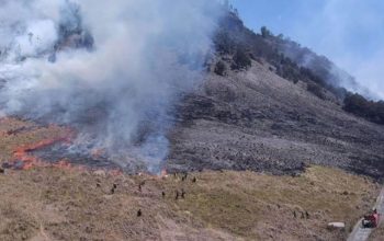 Personel gabungan Balai Besar Taman Nasional Bromo Tengger Semeru (BB TNBTS) pada saat melakukan proses pemadaman api di area savana, di wilayah Kabupaten Malang, Jawa Timur, Rabu (30/8/2023). (TNBTS/pri)