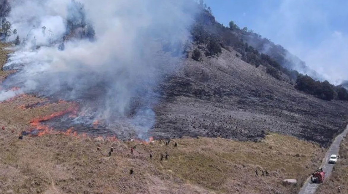 Personel gabungan Balai Besar Taman Nasional Bromo Tengger Semeru (BB TNBTS) pada saat melakukan proses pemadaman api di area savana, di wilayah Kabupaten Malang, Jawa Timur, Rabu (30/8/2023). (TNBTS/pri)
