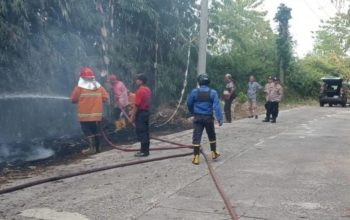 Diduga akibat puntung rokok yang dibuang sembarangan lahan kosong di pinggir Jalan Raya Cibeber, Kabupaten Cianjur, Jawa Barat, terbakar, sehingga petugas langsung melakukan pemadaman. (Ahmad Fikri)