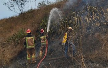 Sejumlah petugas berupaya memadamkan api yang membakar lahan hutan di Gunung Guntur, Kabupaten Garut, Jawa Barat, Kamis (7/9/2023). (Polsek Tarogong Kaler)