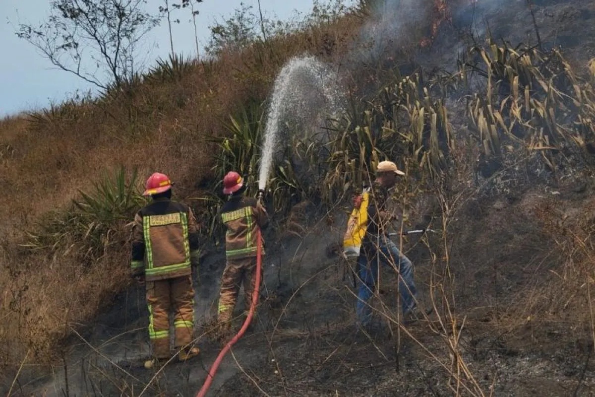 Sejumlah petugas berupaya memadamkan api yang membakar lahan hutan di Gunung Guntur, Kabupaten Garut, Jawa Barat, Kamis (7/9/2023). (Polsek Tarogong Kaler)
