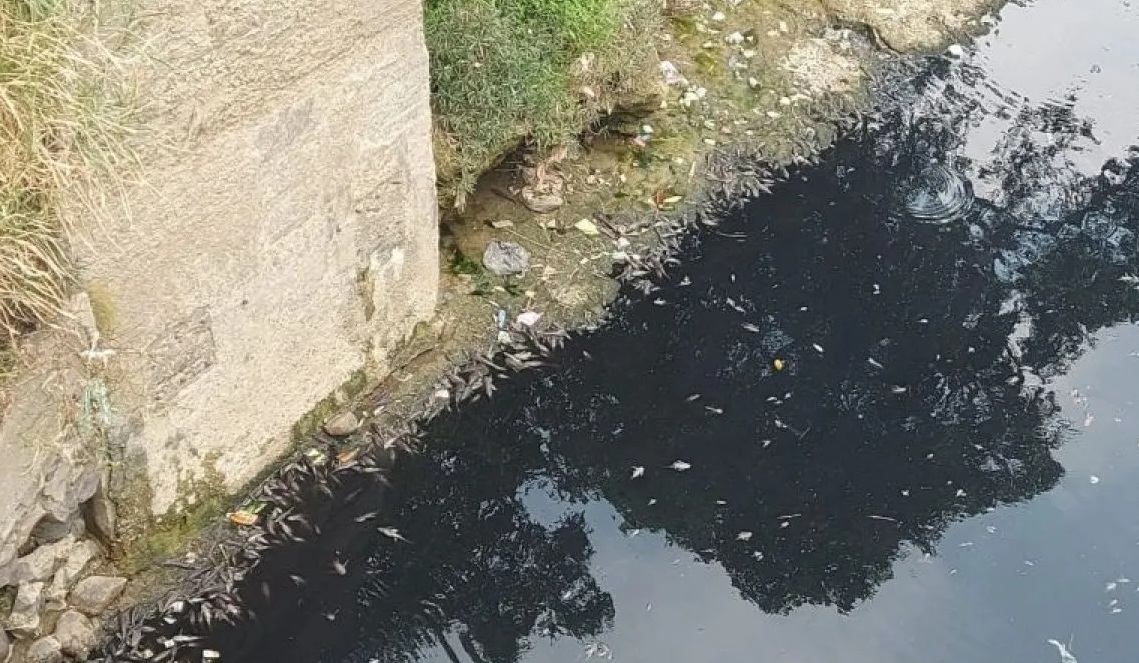 Kondisi Sungai Cileungsi, Kabupaten Bogor, Jawa Barat, Senin (11/9/2023). (antara)