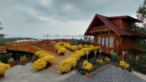 Wisata Bukit Durian Sagara Sukabumi, Sensasi Makan Buah Sambil Menikmati Keindahan Alam