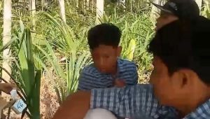 Beredar Korban Pemukulan Siswa SMP 2 Cimanggu Cilacap Meninggal, Kakak Korban : Hoax!, Kondisinya Masih Pemulihan