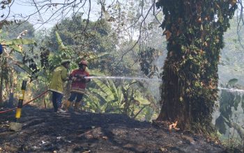 KEBAKARAN : Petugas Damkar saat memadamkan api di Kampung Citepus Pam, RT 2, RW, Kabupaten Sukabumi. (FOTO : NANDI/ RADARSUKABUMI)