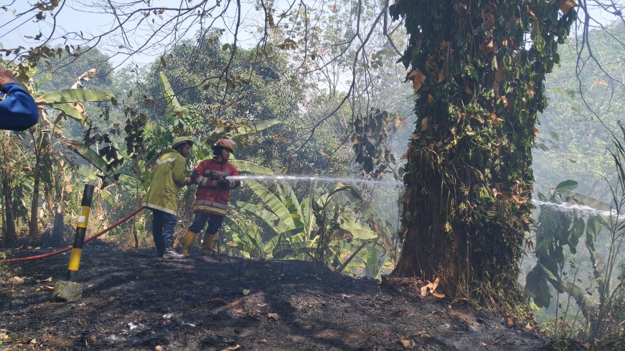 KEBAKARAN : Petugas Damkar saat memadamkan api di Kampung Citepus Pam, RT 2, RW, Kabupaten Sukabumi. (FOTO : NANDI/ RADARSUKABUMI)