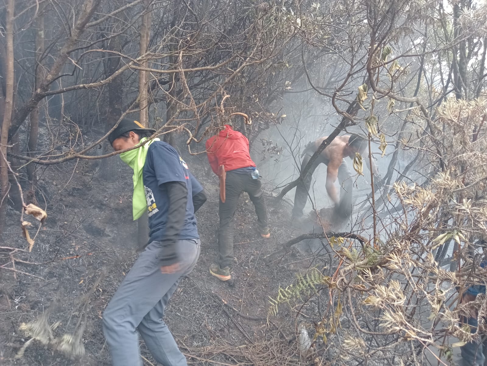 PENDINGINAN : Sejumlah relawan dan petugas pada saat melakukan pendinginan akibat kebakaran yang terjadi di lahan sabana alun-alun Suryakencana, (foto : Humas TNGGP)