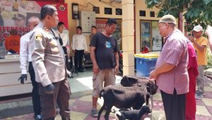 Dua Pelaku Maling Domba di Surade Sukabumi Ditangkap Polisi