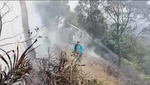 Kaki Gunung Salak Kebakaran, Begini Kodisi Terkini