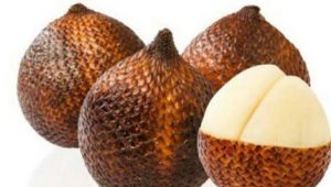 Simak, 6 Manfaat Buah Salak dan Kandungan Nutrisi, Bisa Tingkatkan Kesehatan Mata