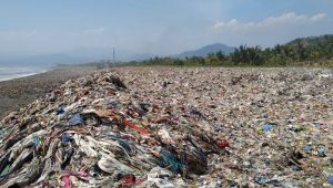 Alasan Pandawa Group Sebut Pantai Sukabumi Terkotor Urutan Keempat, Darurat Harus Segera Ditangai!