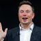 Elon Musk/Net