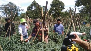 Pangsi dan Kemandirian Ekonomi Santri Sukabumi