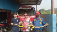 DIAMANKAN : Petugas Posko VI Sukaraja pada Dinas Pemadam Kebakaran Kabupaten Sukabumi, saat menyerahkan ular sanca kembang ke Exalos pada Rabu (04/10).