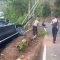 Fortuner-Masuk-Jurang-Simpenan-Sukabumi