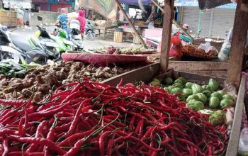 Pedagang Cabai Sukabumi