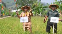Lahan Pertanian di Kota Sukabumi Kian Menyusut, Tinggal 1.221 hektare