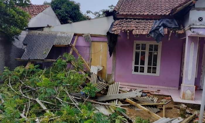 Pohon-Tumbang-Jampangtengah-Sukabumi