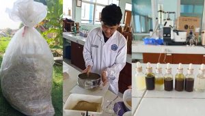 Kelompok Mahasiswa Kimia UMMI Ubah Bulu Ayam Menjadi Serum Antirontok Untuk Rambut