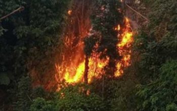 Puncak Bogor Membara
