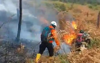 Petugas melakukan pemadaman api yang membakar kawasan hutan konservasi di Gunung Papandayan, Kabupaten Garut, Jawa Barat, Senin (23/10/2023). (BPBD Garut)