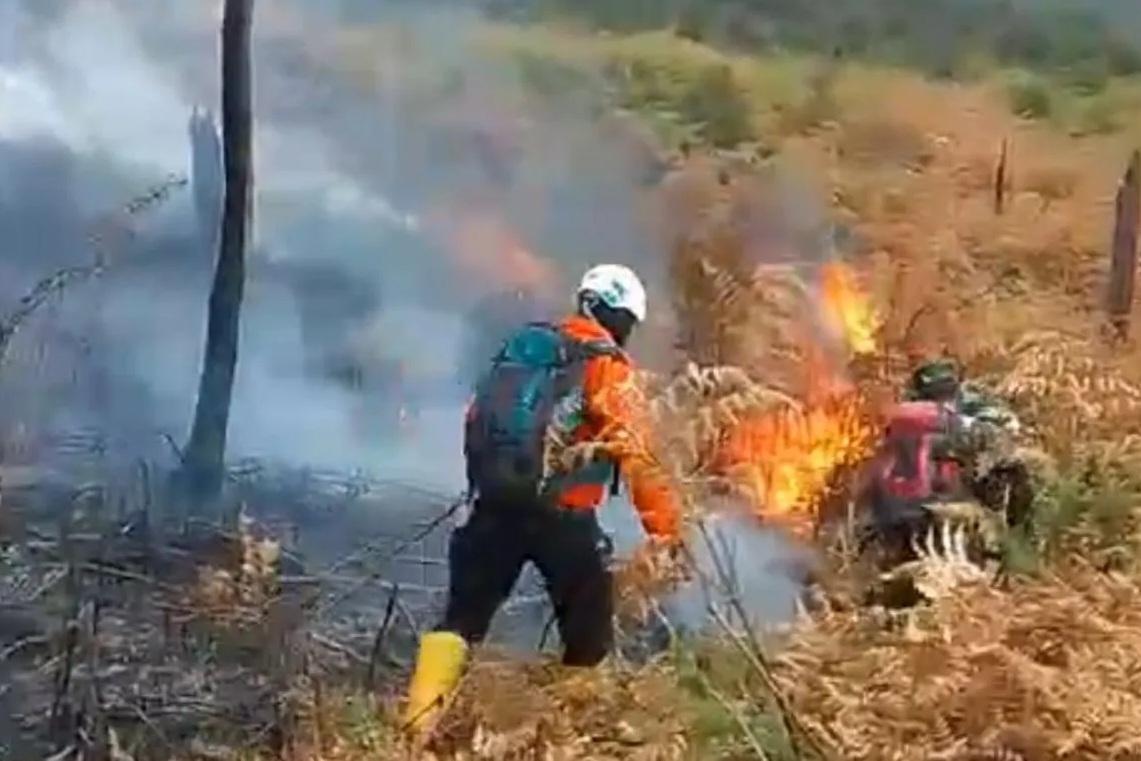 Petugas melakukan pemadaman api yang membakar kawasan hutan konservasi di Gunung Papandayan, Kabupaten Garut, Jawa Barat, Senin (23/10/2023). (BPBD Garut)