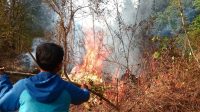 Kebakaran hutan dan lahan yang terjadi pada pertengahan Agustus 2023 di kawasan Gunung Ciremai, Jawa Barat. (ANTARA/Fathnur Rohman)
