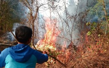 Kebakaran hutan dan lahan yang terjadi pada pertengahan Agustus 2023 di kawasan Gunung Ciremai, Jawa Barat. (ANTARA/Fathnur Rohman)