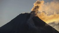 Asap solfatara keluar dari kubah lava Gunung Merapi terlihat dari Srumbung, Magelang, Jawa Tengah, Jumat (30/6/2023). (Antara Foto/Hendra Nurdiyansyah)