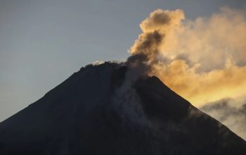 Asap solfatara keluar dari kubah lava Gunung Merapi terlihat dari Srumbung, Magelang, Jawa Tengah, Jumat (30/6/2023). (Antara Foto/Hendra Nurdiyansyah)