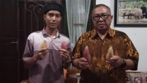 Ubi Madu Asal Kebonpedes Sukabumi Diminati Luar Negeri
