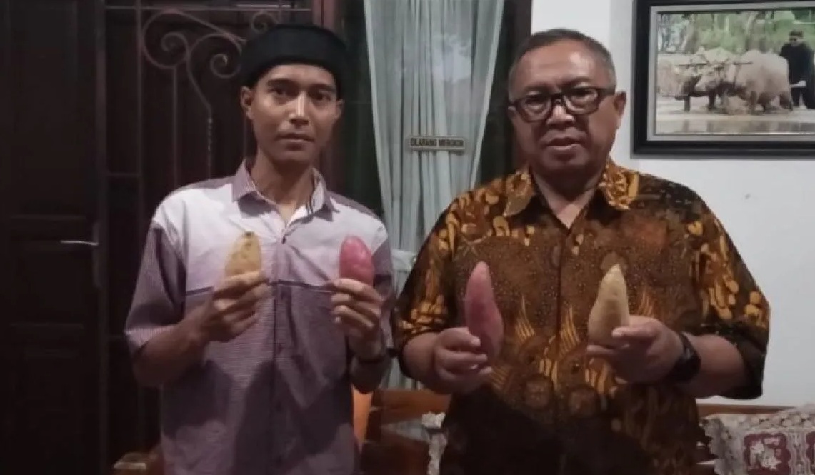 Bupati Sukabumi Marwan Hamami saat menunjukkan produk ubi madu yang dikembangkan para petani milenial di Kecamatan Kebonpedes, Kabupaten Sukabumi, Jabar.