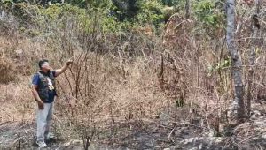Warga Jampangkulon Sukabumi Tergantung di Pohon