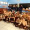 sekolah vokasi IPB University