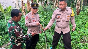 Duduk Perkara Duel Berdarah di Sukabumi, Pertarungan yang Direncanakan