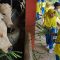 Agroeduwisata Peternakan Polbangtan Bogor