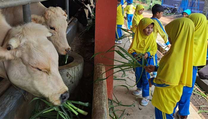 Agroeduwisata Peternakan Polbangtan Bogor