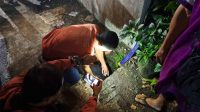 seorang bocah dua tahun berinisial MTA, ditemukan tewas usai hanyut terbawa aliran air drainase di dekat rumahnya di Kampung Cibeureum RT 1 RW 1, Kelurahan Mulyaharja, Kecamatan Bogor Selatan pada Kamis (9/11/2023).